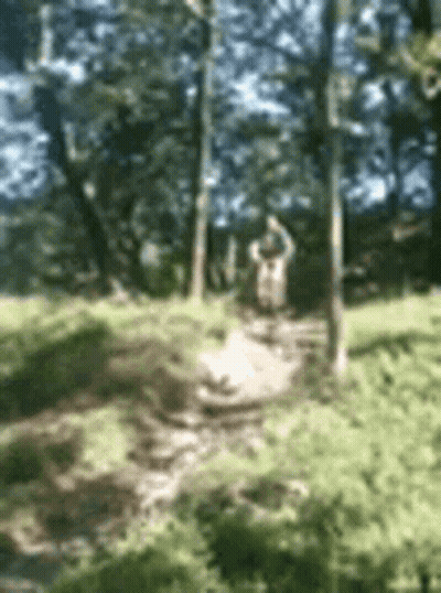 Blurry Person In Forest GIF