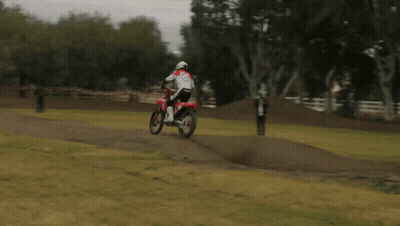 Blurry Person In Forest GIF