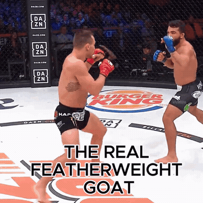 Blurry Person In Front Of BT Logo GIF
