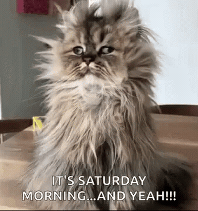 Blurry Person In Front Of Wall GIF