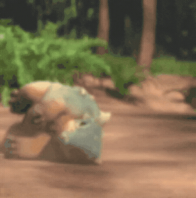 Blurry Person Laying On Ground In Woods GIF