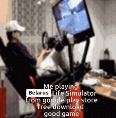 Blurry Person Playing Belarus Life Simulator GIF