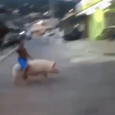 Blurry Person Riding Horse Down Street GIF
