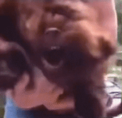 Blurry Person Screaming GIF
