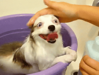 Blurry Person Screaming GIF