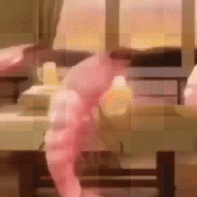 Blurry Person Standing In Front Of Window GIF