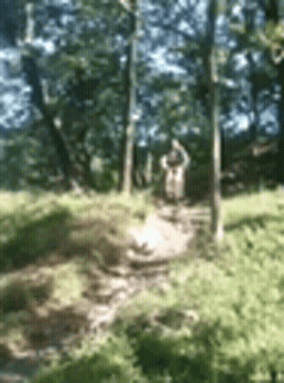 Blurry Person Standing In Woods GIF