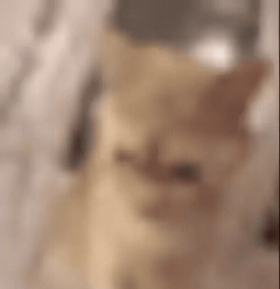 Blurry Person Standing On Wooden Floor GIF