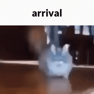 Blurry Person With Arrival GIF