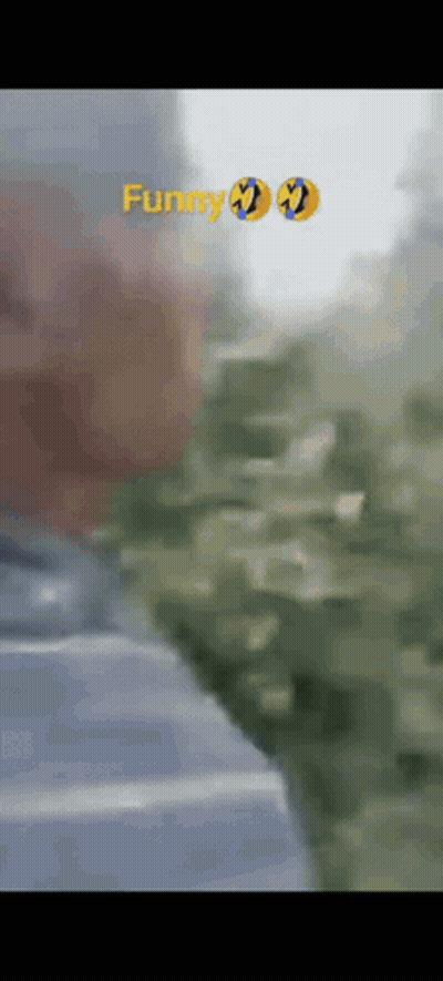 Blurry Person With Funny GIF