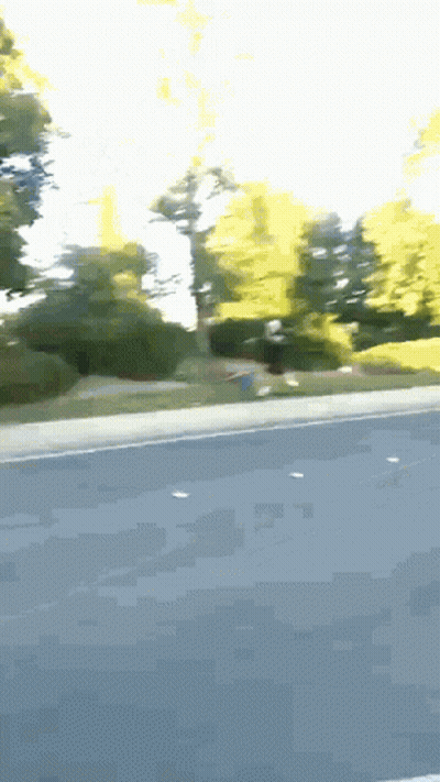 Blurry Road With Trees GIF