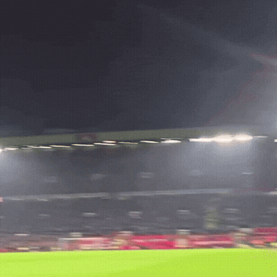 Blurry Soccer Field With Lights GIF