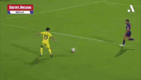 Blurry Soccer Game Harvey Norman Replay GIF