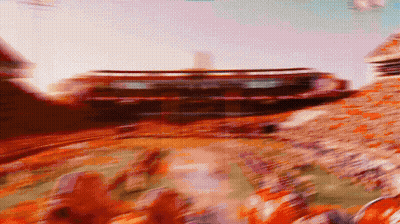 Blurry Stadium With People In Orange Shirts GIF