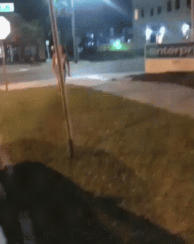 Blurry Street With Enterprise Sign GIF