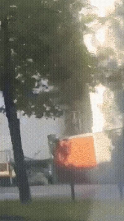 Blurry Street With Trees And Cars GIF
