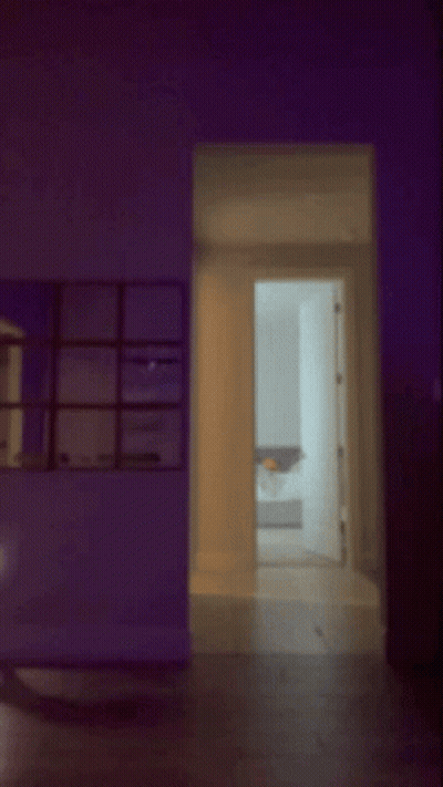 Blurry Two People Dancing Purple Lights GIF