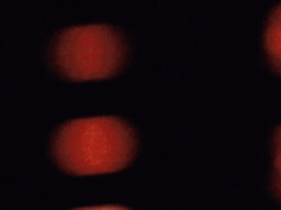 Blurry Woman Face With Blurry Background GIF