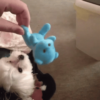 Blurry Woman Standing With Back To Camera GIF