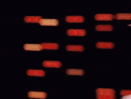 Blurry Woman With Red Hair And White Shirt GIF