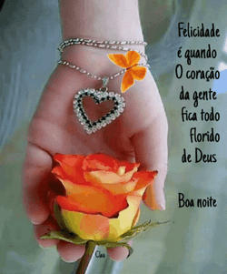 Boa Noite Felicidade E Quando GIF