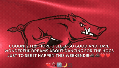 Boar Saying Goodnight Hope You Sleep So Good And Have Wonderful Dreams About Dancing GIF