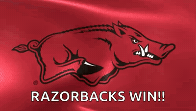 Boar Saying Razorbacks Win GIF