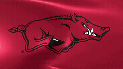 Boar With Sharp Teeth On Red Background GIF