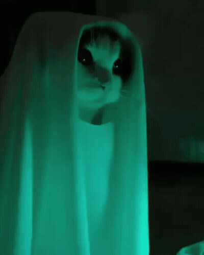 Boat Floating With My Career Prospects GIF