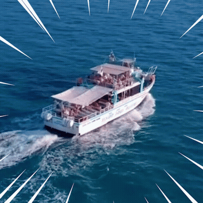 Boat Saying Dolphin GIF