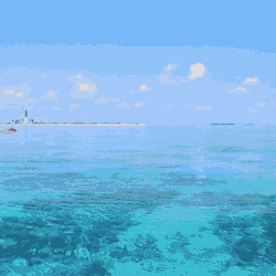 Boat Sea GIF