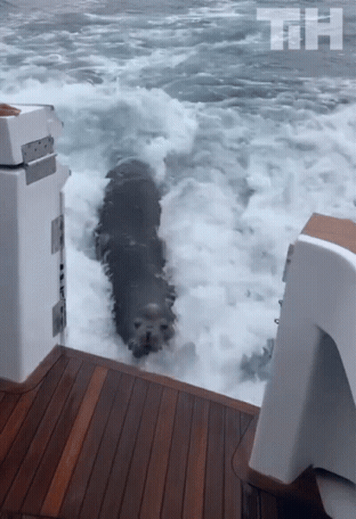 Boat With Letters TH GIF