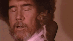 Bob Ross Interacting With Squirrel  GIF