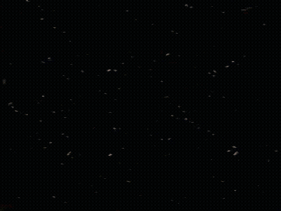 Bob's Big Boy Logo GIF