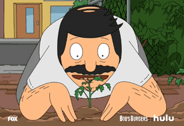 Bob's Burgers Thanksgiving Bob Belcher Guarding Plants GIF