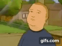 Bobby Hill Staring Flie GIF