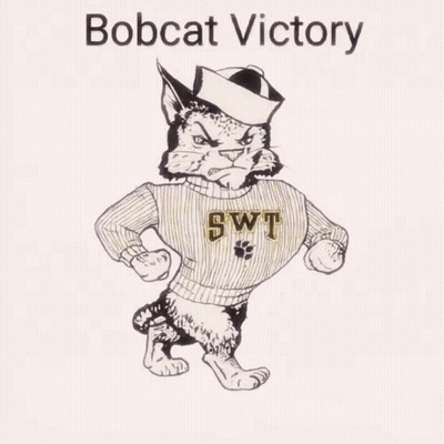 Bobcat Wearing Sweater Saying SWT GIF