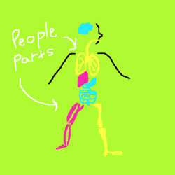  Body Parts Animation Lungs GIF