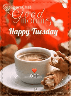 Boiling Coffee Good Morning Tuesday GIF