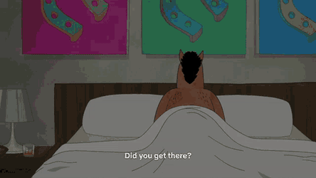 Bojack Horseman GIF