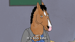 Bojack Horseman Its Too Late GIF
