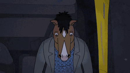 Bojack Horseman Sad GIF