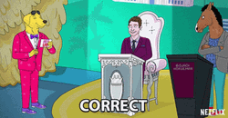 BoJack Horseman Show Correct GIF