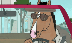 Bojack Horseman Wearing Sunglasses