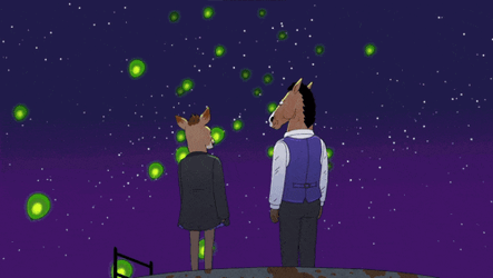 Bojack Meme GIF