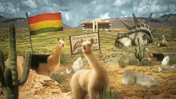 Bolivia Animated Alpaca