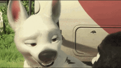 Bolt Animated Dog GIF