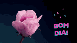 Bom Dia Blooming Flower GIF