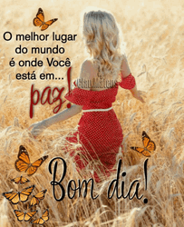 Bom Dia Butterflies Woman GIF
