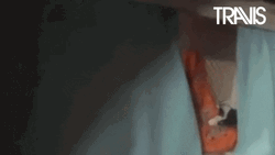 Bom Dia Dougie Payne GIF